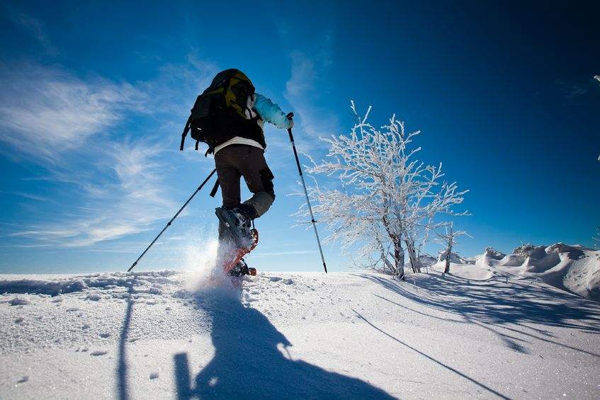 Snowshoeing can help you lose weight without the cost of a lift ticket